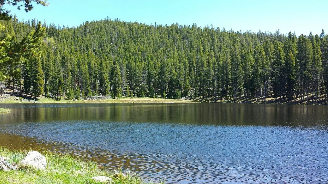 Bighorn National Forest